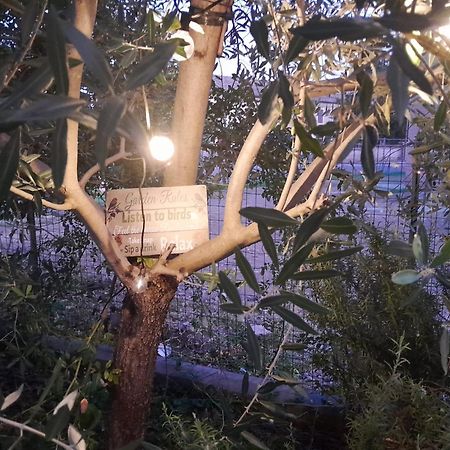 Appartamento Casita Esperanza Copparo Esterno foto