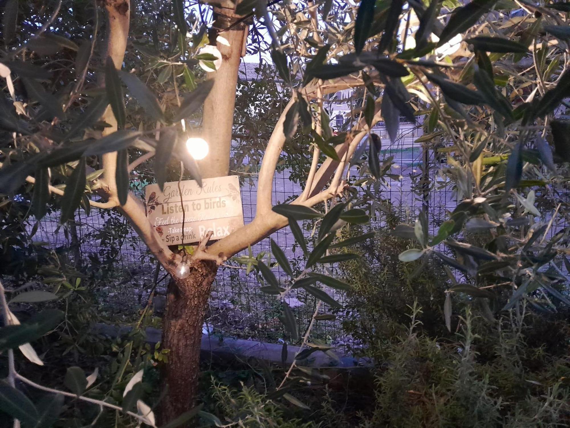 Appartamento Casita Esperanza Copparo Esterno foto
