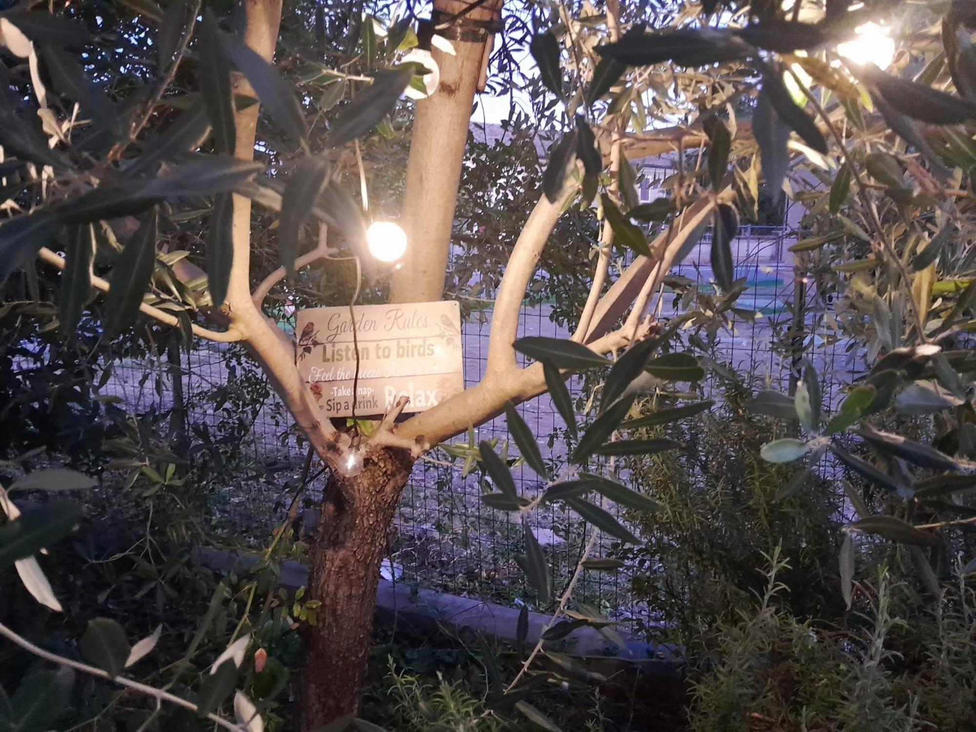 Appartamento Casita Esperanza Copparo Esterno foto