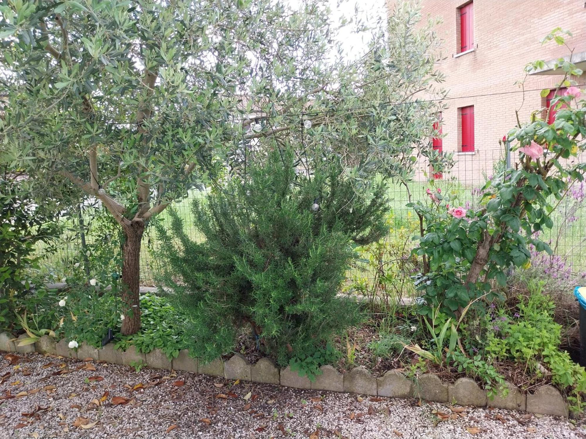Appartamento Casita Esperanza Copparo Esterno foto