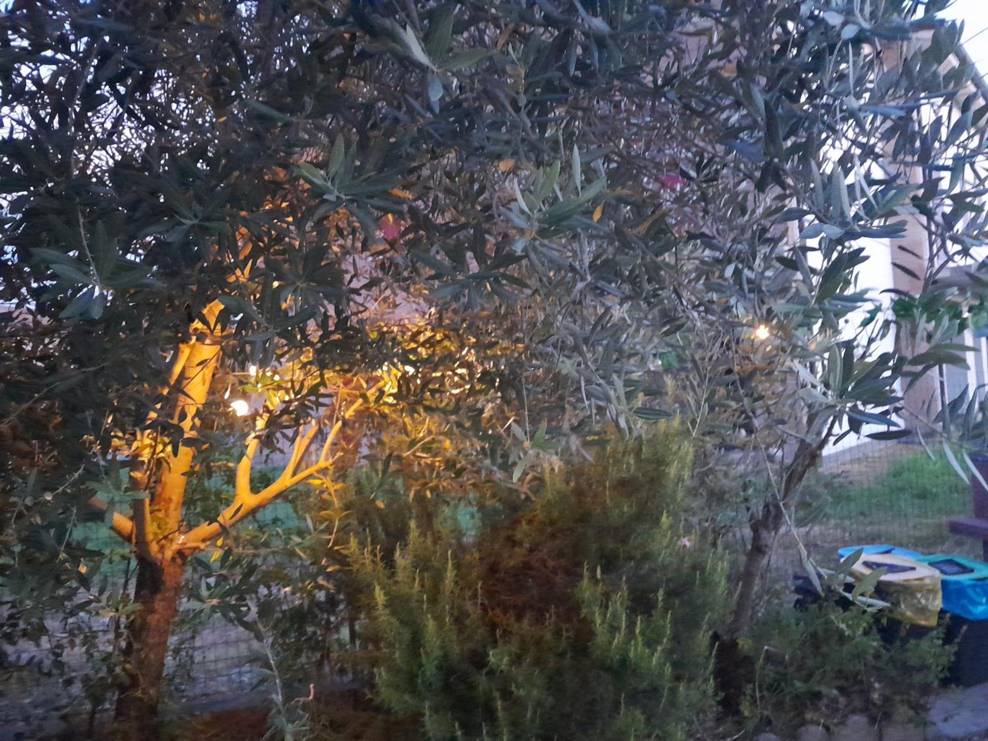 Appartamento Casita Esperanza Copparo Esterno foto