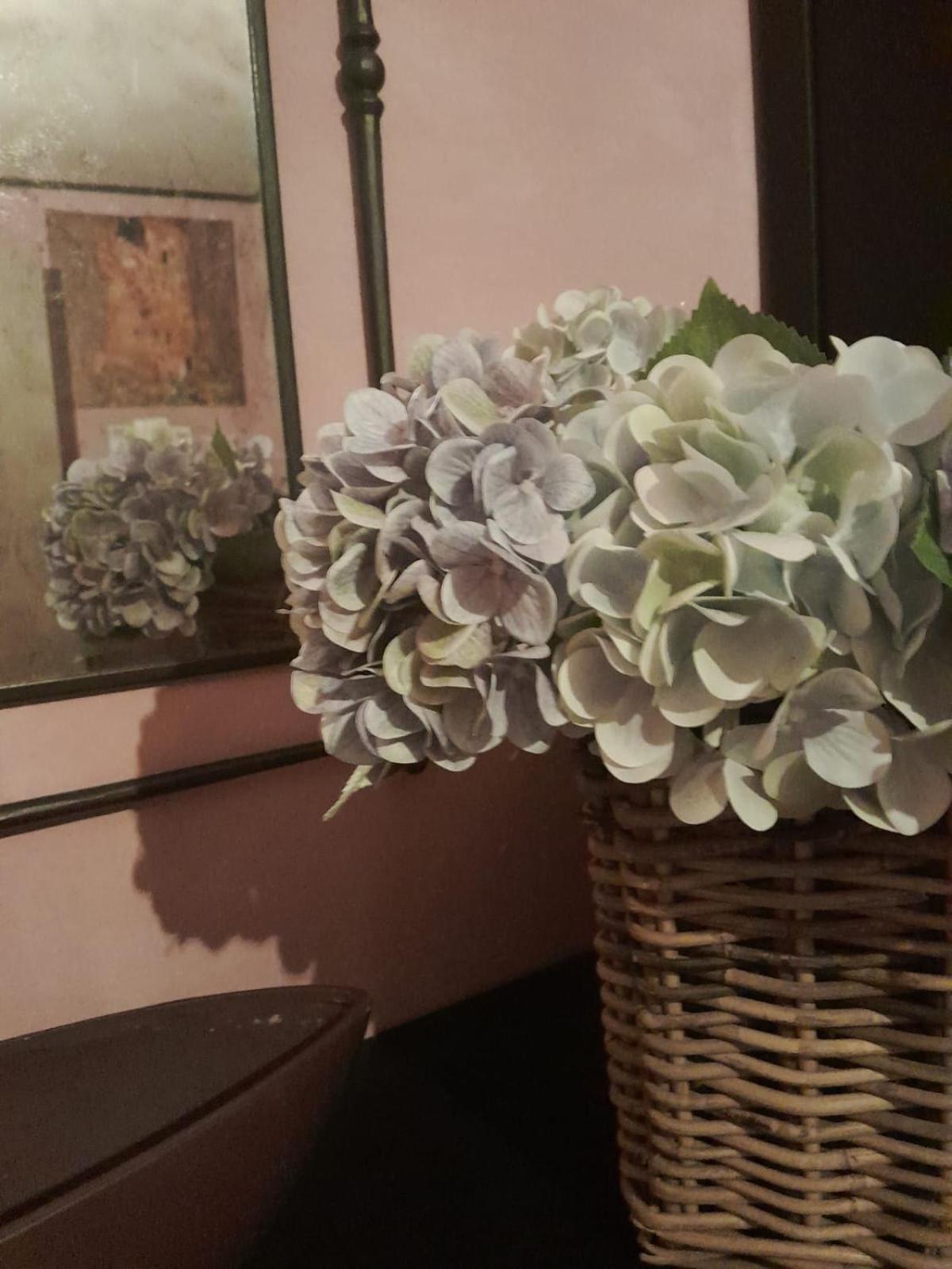 Appartamento Casita Esperanza Copparo Esterno foto