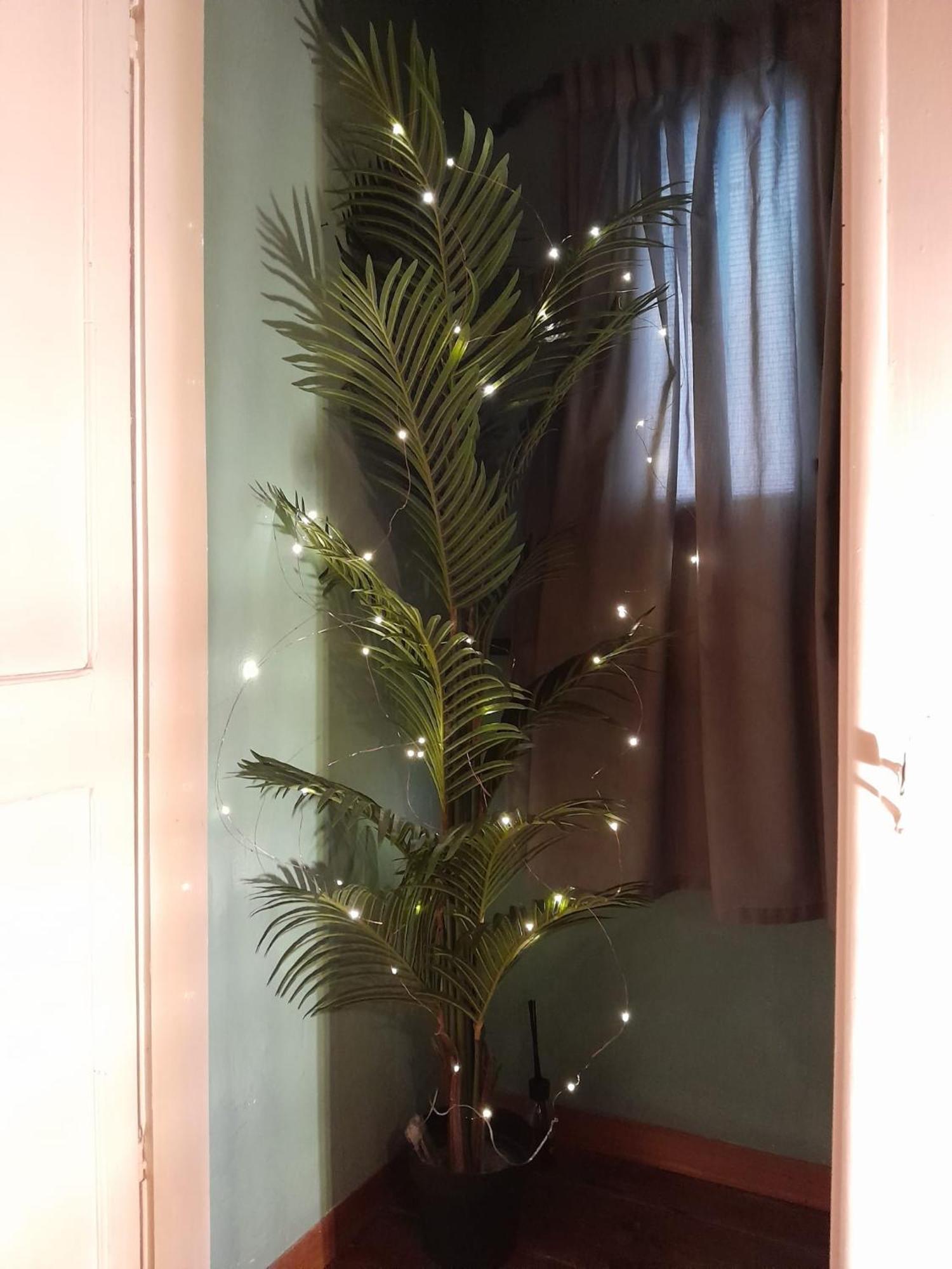 Appartamento Casita Esperanza Copparo Esterno foto